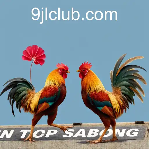 Exploring the Complex World of Online Sabong